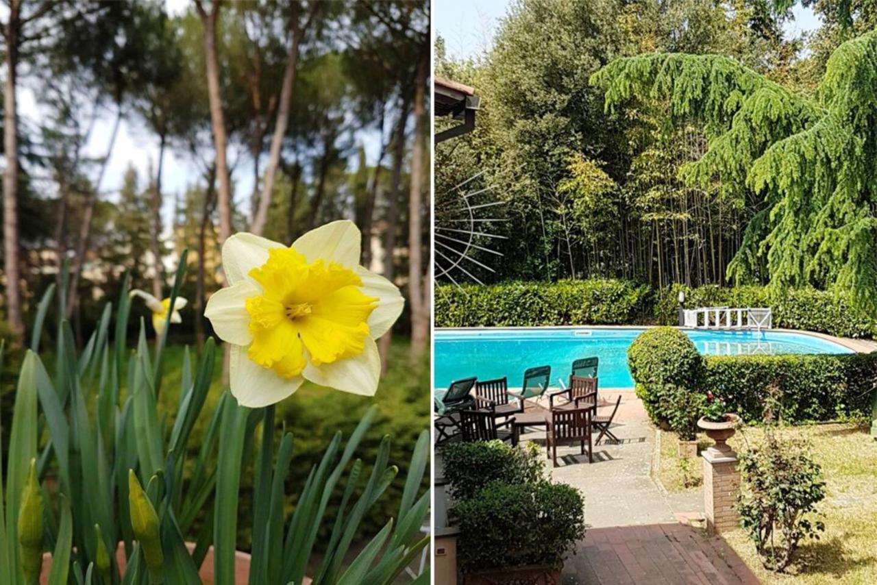 Peaceful In With Private Pool Villa Florencia